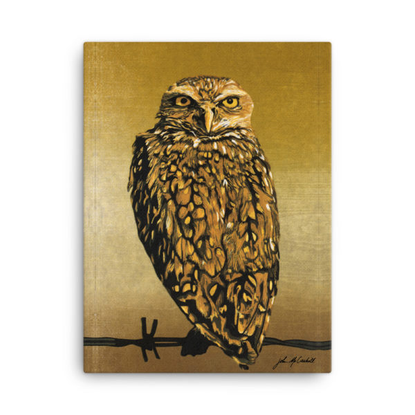 Wise Owl – 18×24 Giclée